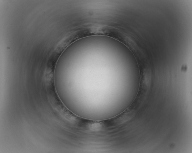 X0000111220513200907021338