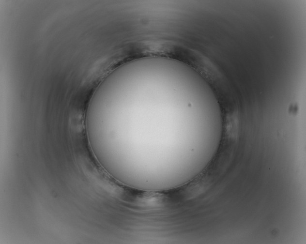 X0000111220514200907021338