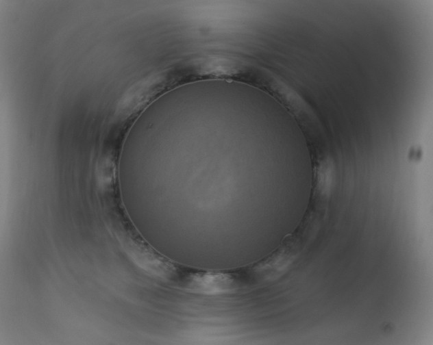 X0000111220517200907021338