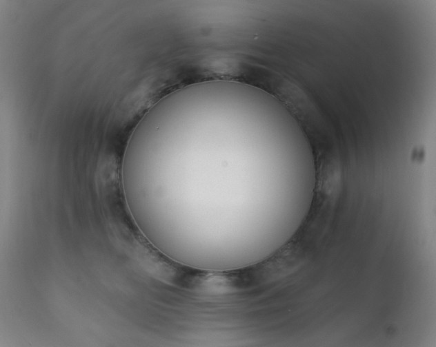 X0000111220518200907021338