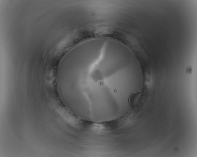 X0000111220519200907021338