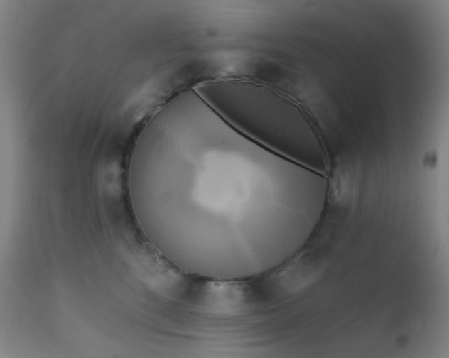 X0000111220520200907021338