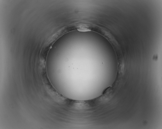 X0000111220521200907021338