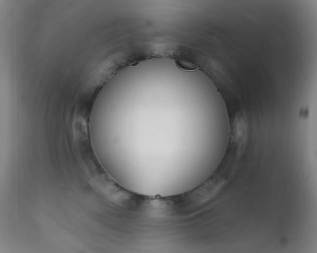 X0000111220522200907021338