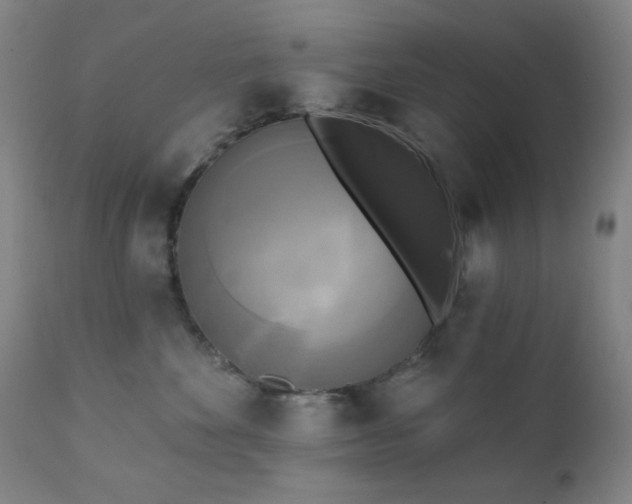 X0000111220524200907021338