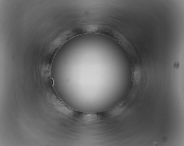 X0000111220525200907021338