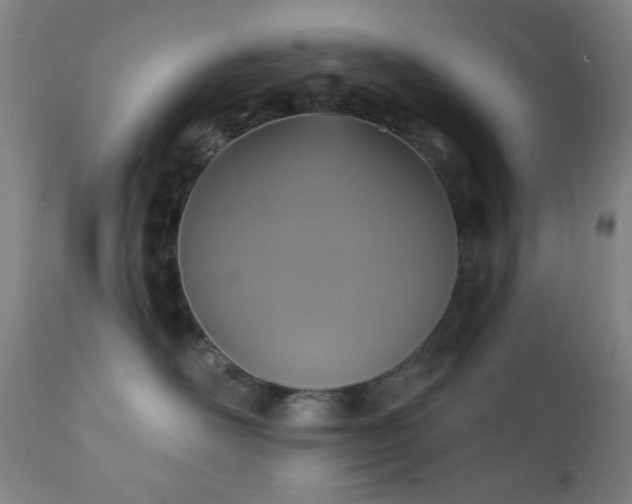 X0000111220526200907021338
