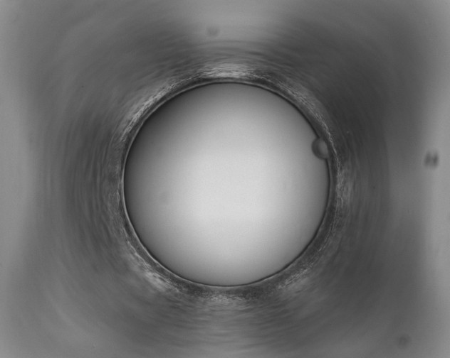 X0000111220529200907021337