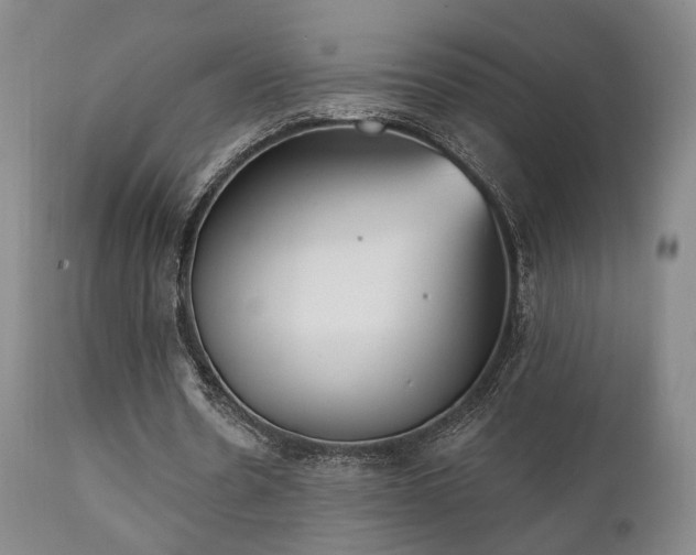 X0000111220530200907021337