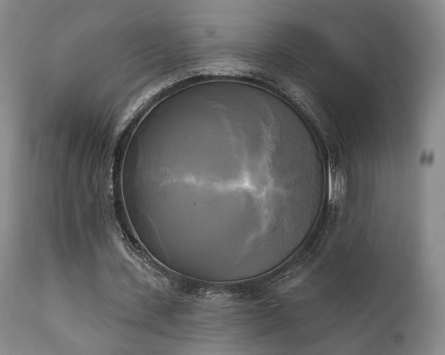 X0000111220531200907021337