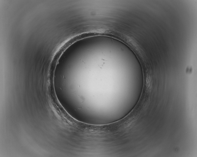 X0000111220532200907021337