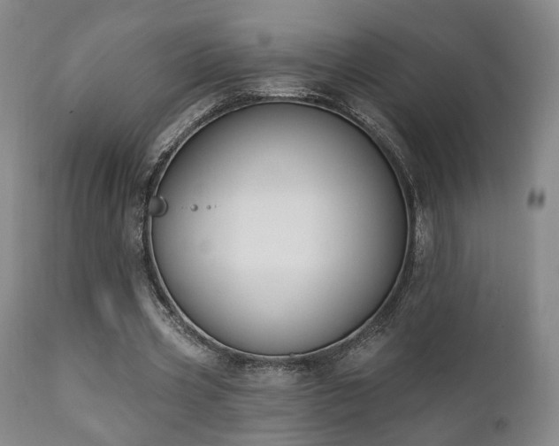X0000111220533200907021337