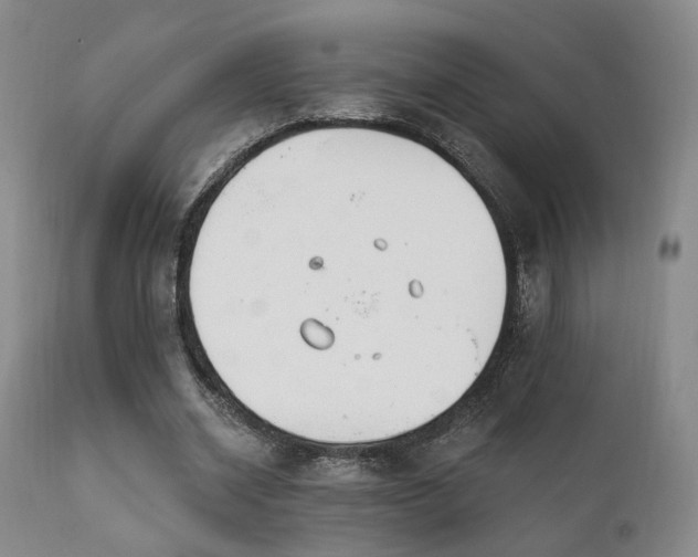 X0000111220534200907021337