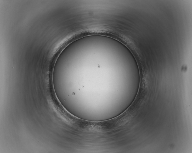 X0000111220535200907021337