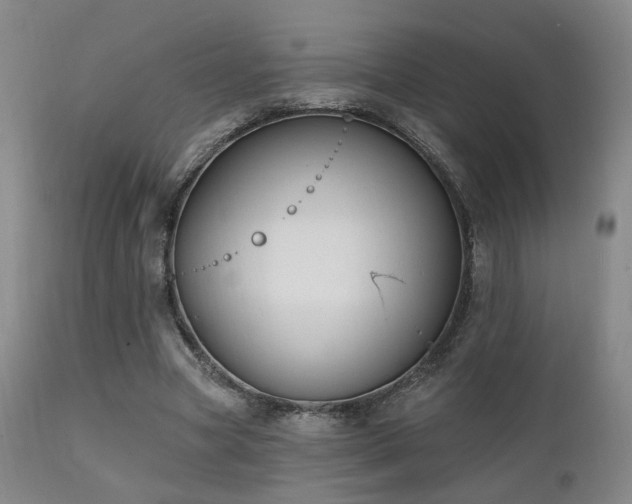 X0000111220537200907021337