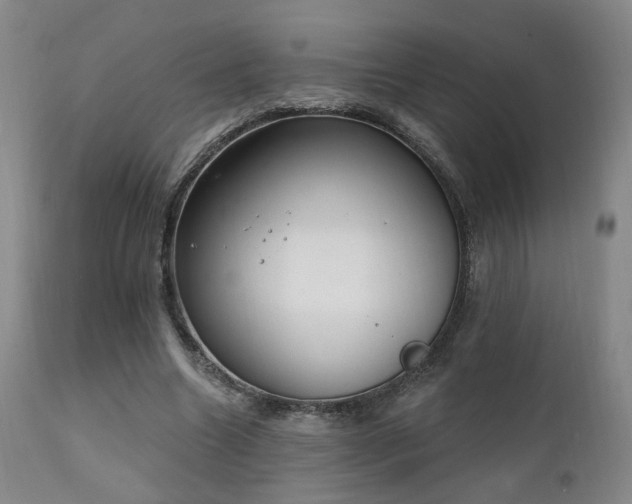X0000111220538200907021337