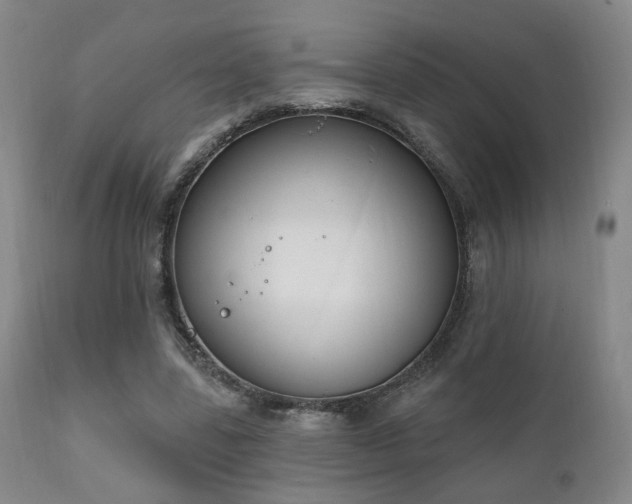 X0000111220539200907021337