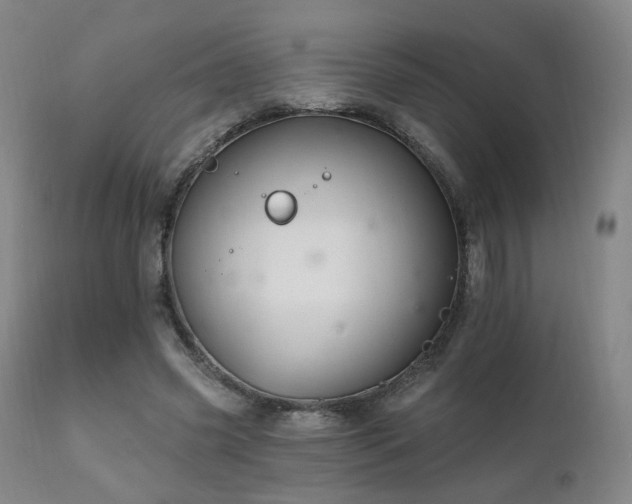 X0000111220541200907021337