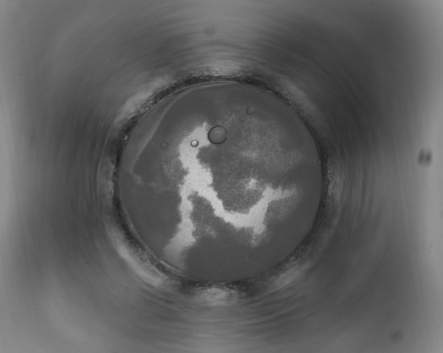 X0000111220542200907021337