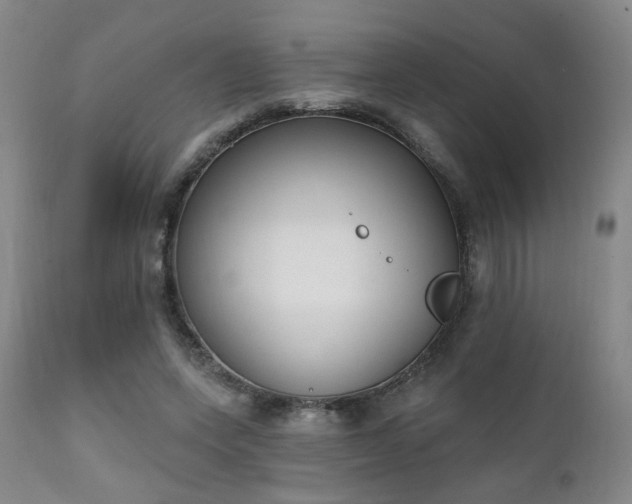X0000111220543200907021337