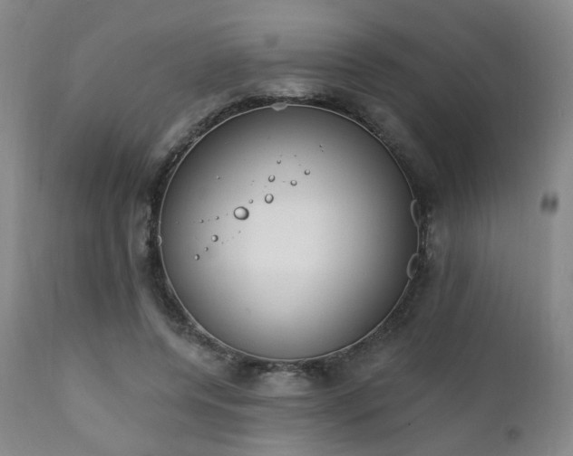 X0000111220544200907021337
