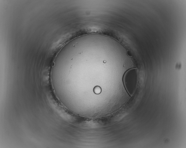 X0000111220545200907021337