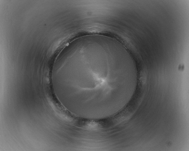 X0000111220547200907021337