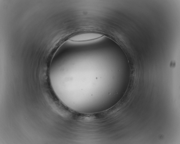 X0000111220548200907021337