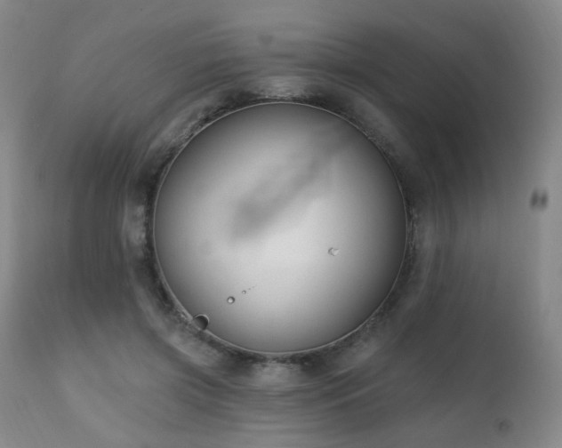 X0000111220549200907021337