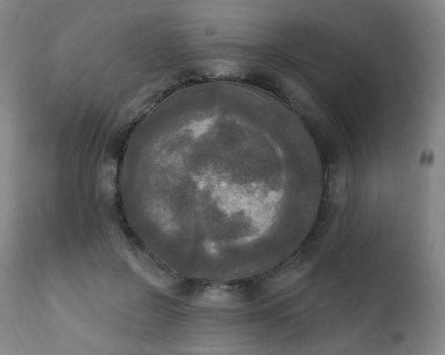 X0000111220550200907021337