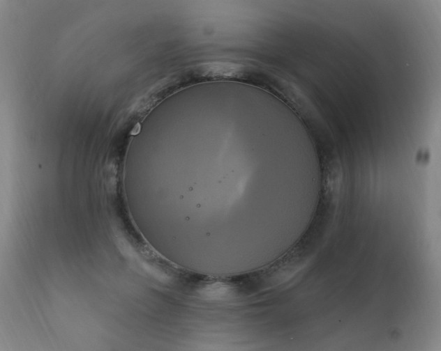 X0000111220551200907021337