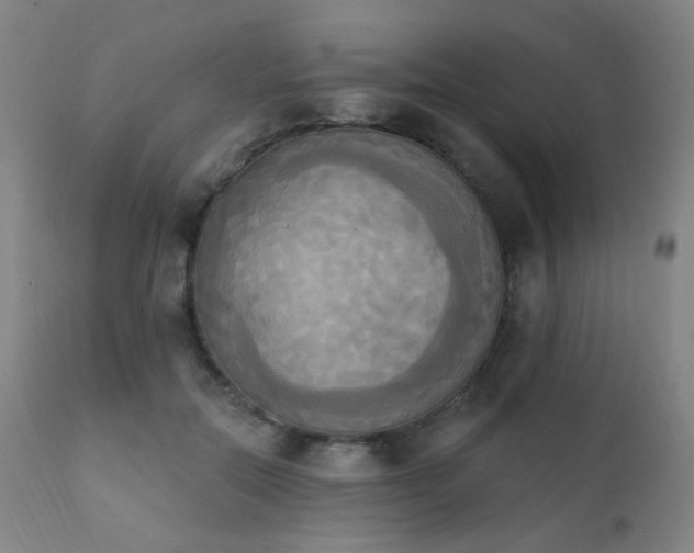 X0000111220554200907021337