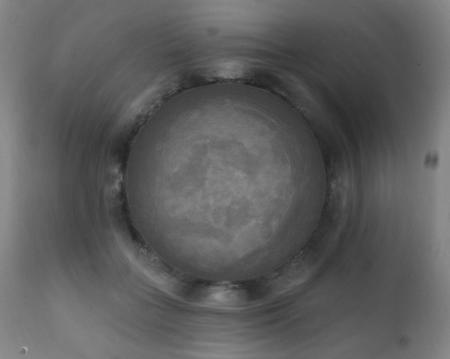 X0000111220555200907021337