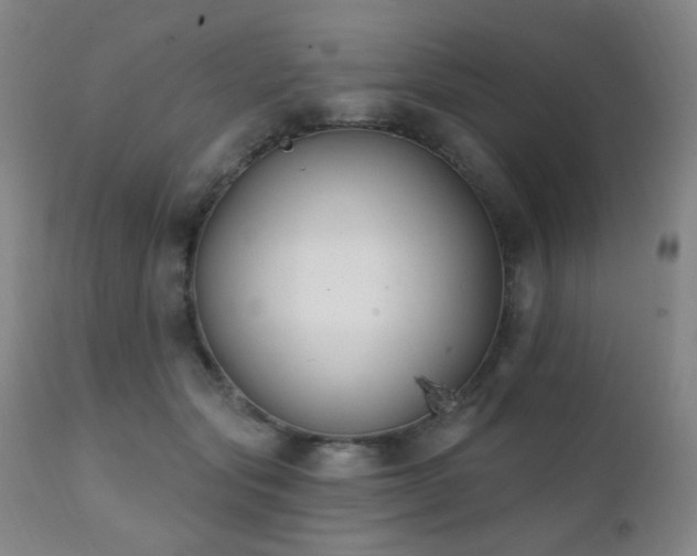 X0000111220557200907021337
