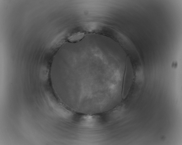 X0000111220558200907021337