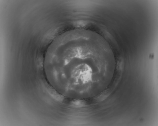 X0000111220561200907021337