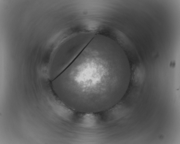 X0000111220562200907021338