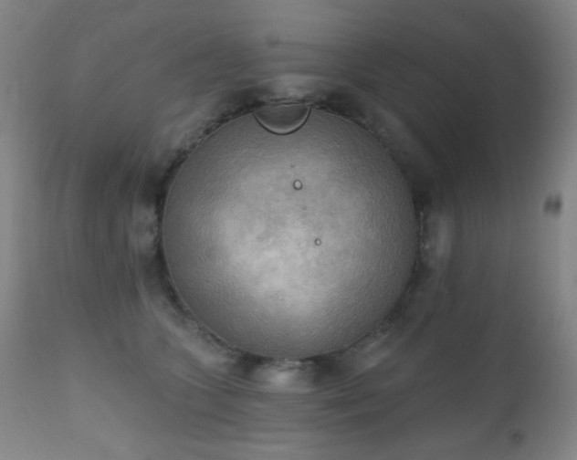 X0000111220563200907021338