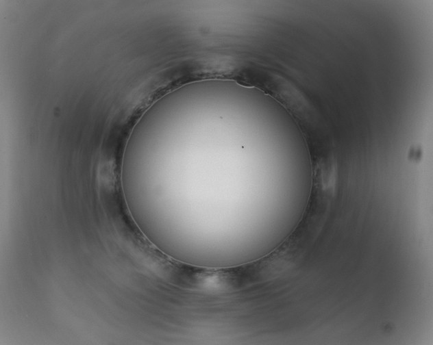 X0000111220564200907021338