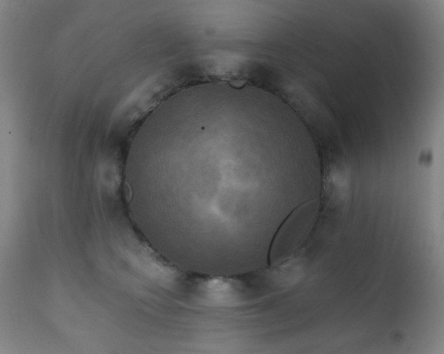 X0000111220566200907021338