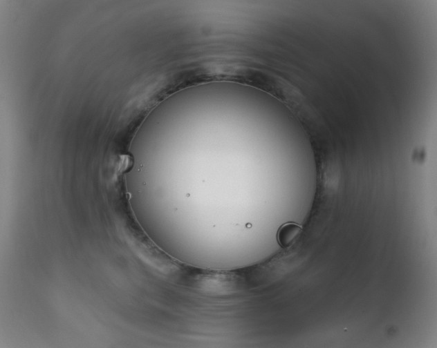 X0000111220567200907021338