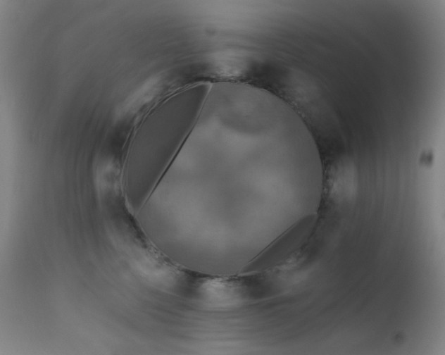 X0000111220568200907021338