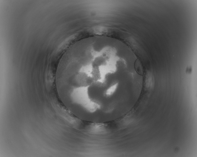 X0000111220569200907021338