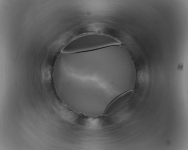 X0000111220570200907021338