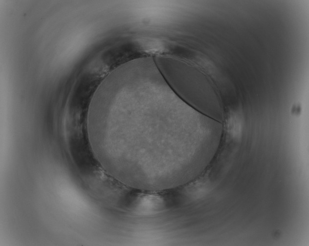 X0000111220572200907021338