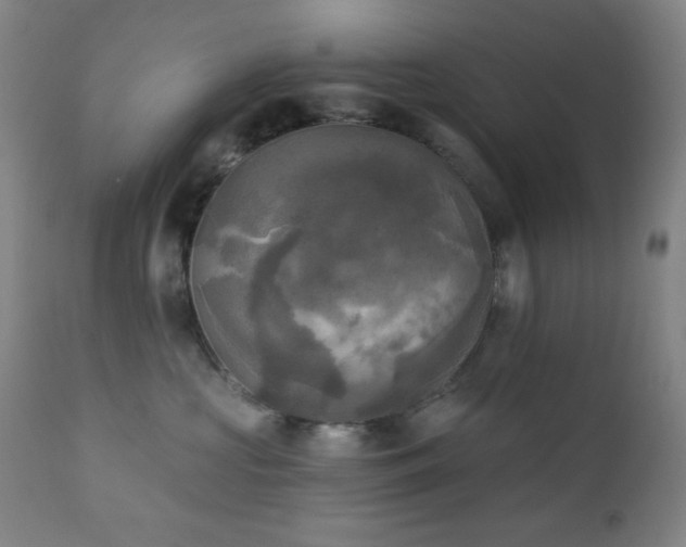 X0000111220573200907021338