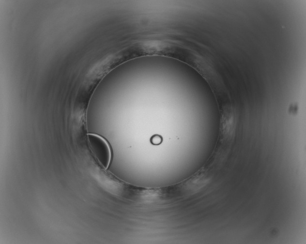 X0000111220574200907021338