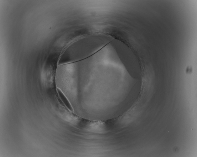 X0000111220576200907021338
