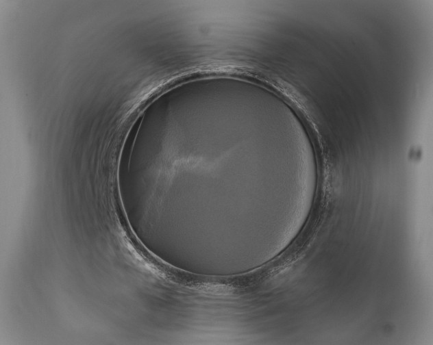 X0000111220577200907021337