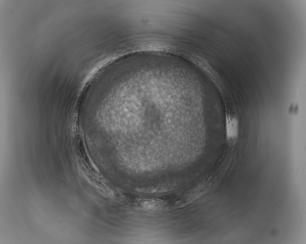 X0000111220579200907021337